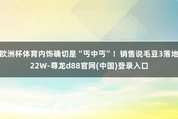欧洲杯体育内饰确切是“丐中丐”！销售说毛豆3落地22W-尊龙d88官网(中国)登录入口