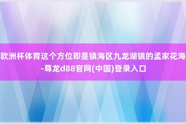 欧洲杯体育这个方位即是镇海区九龙湖镇的孟家花海-尊龙d88官网(中国)登录入口