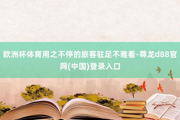 欧洲杯体育用之不停的旅客驻足不雅看-尊龙d88官网(中国)登录入口