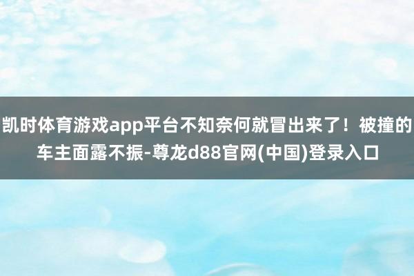 凯时体育游戏app平台不知奈何就冒出来了！被撞的车主面露不振-尊龙d88官网(中国)登录入口