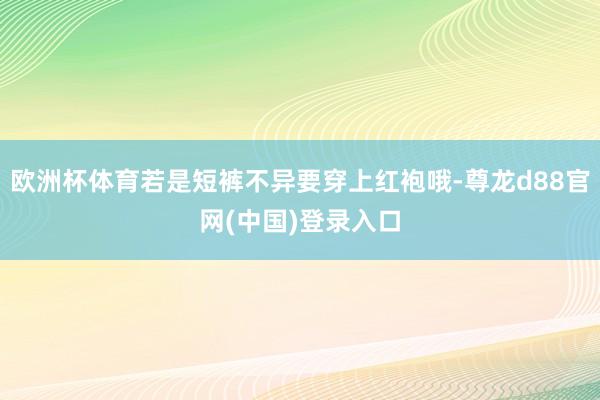 欧洲杯体育若是短裤不异要穿上红袍哦-尊龙d88官网(中国)登录入口