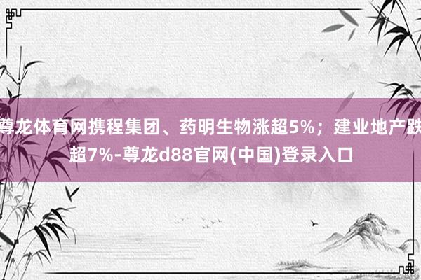 尊龙体育网携程集团、药明生物涨超5%；建业地产跌超7%-尊龙d88官网(中国)登录入口