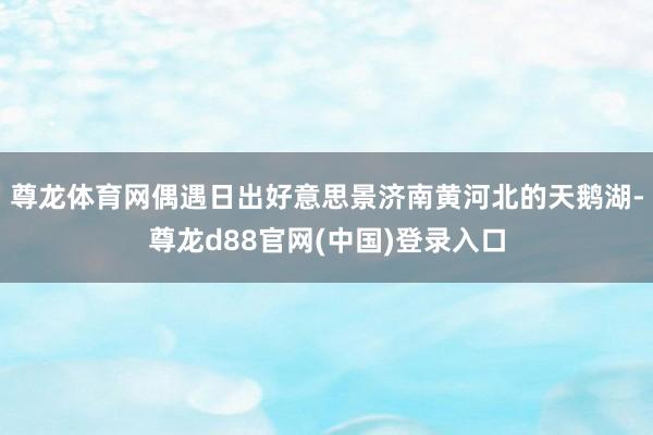 尊龙体育网偶遇日出好意思景济南黄河北的天鹅湖-尊龙d88官网(中国)登录入口