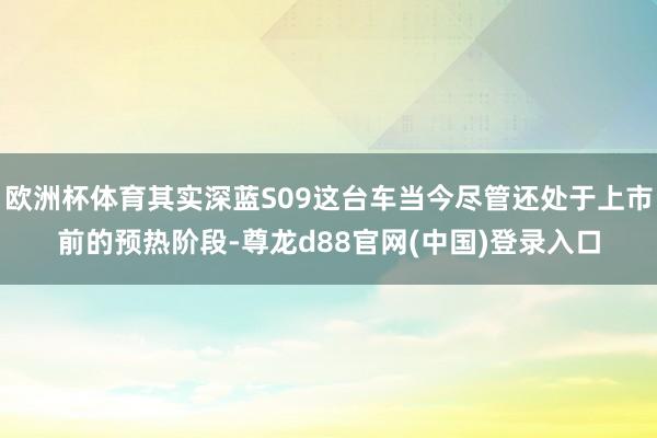 欧洲杯体育其实深蓝S09这台车当今尽管还处于上市前的预热阶段-尊龙d88官网(中国)登录入口