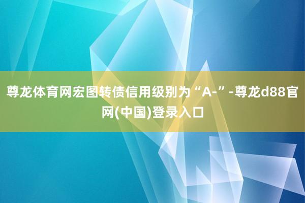 尊龙体育网宏图转债信用级别为“A-”-尊龙d88官网(中国)登录入口