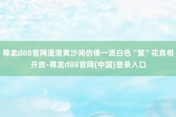尊龙d88官网漫漫黄沙间仿佛一派白色“繁”花竞相开放-尊龙d88官网(中国)登录入口