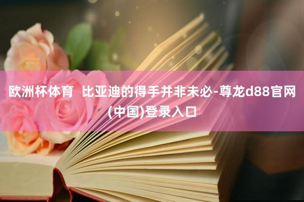 欧洲杯体育  比亚迪的得手并非未必-尊龙d88官网(中国)登录入口