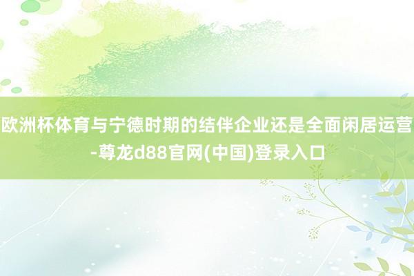 欧洲杯体育与宁德时期的结伴企业还是全面闲居运营-尊龙d88官网(中国)登录入口