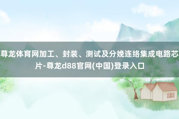 尊龙体育网加工、封装、测试及分娩连络集成电路芯片-尊龙d88官网(中国)登录入口