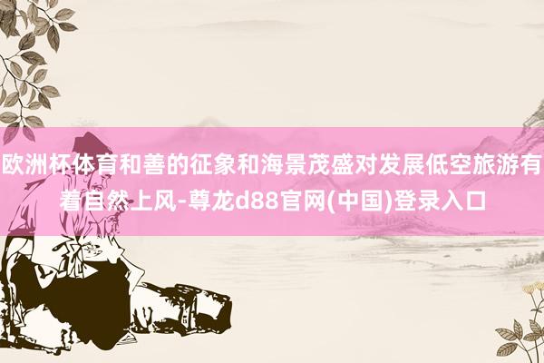 欧洲杯体育和善的征象和海景茂盛对发展低空旅游有着自然上风-尊龙d88官网(中国)登录入口