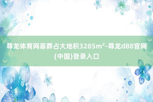 尊龙体育网墓葬占大地积3285m²-尊龙d88官网(中国)登录入口