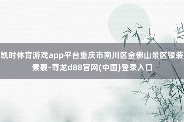 凯时体育游戏app平台重庆市南川区金佛山景区银装素裹-尊龙d88官网(中国)登录入口