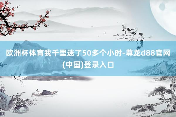 欧洲杯体育我千里迷了50多个小时-尊龙d88官网(中国)登录入口
