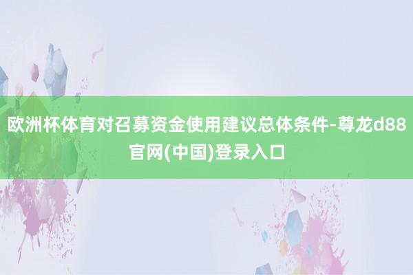 欧洲杯体育对召募资金使用建议总体条件-尊龙d88官网(中国)登录入口