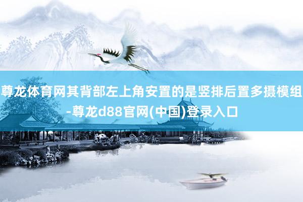 尊龙体育网其背部左上角安置的是竖排后置多摄模组-尊龙d88官网(中国)登录入口