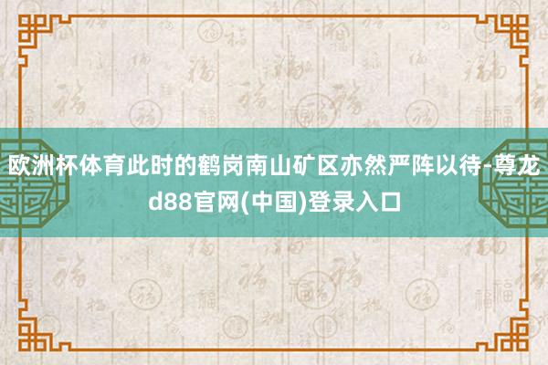 欧洲杯体育此时的鹤岗南山矿区亦然严阵以待-尊龙d88官网(中国)登录入口