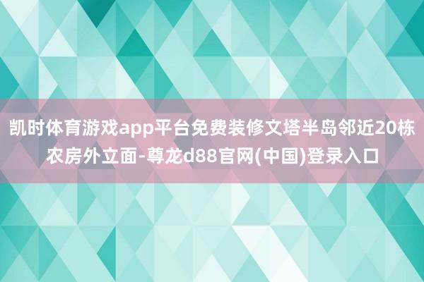 凯时体育游戏app平台免费装修文塔半岛邻近20栋农房外立面-尊龙d88官网(中国)登录入口