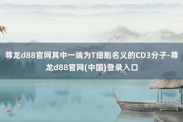 尊龙d88官网其中一端为T细胞名义的CD3分子-尊龙d88官网(中国)登录入口