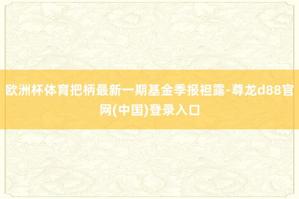 欧洲杯体育把柄最新一期基金季报袒露-尊龙d88官网(中国)登录入口