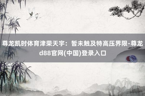尊龙凯时体育津荣天宇：暂未触及特高压界限-尊龙d88官网(中国)登录入口