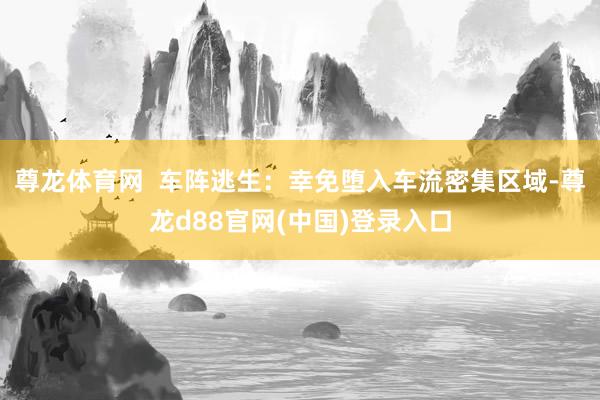尊龙体育网  车阵逃生：幸免堕入车流密集区域-尊龙d88官网(中国)登录入口