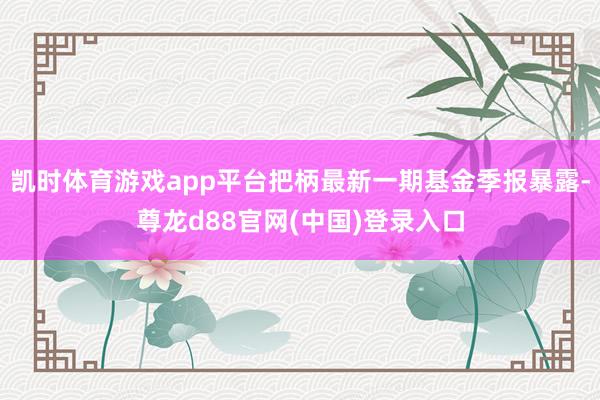 凯时体育游戏app平台把柄最新一期基金季报暴露-尊龙d88官网(中国)登录入口