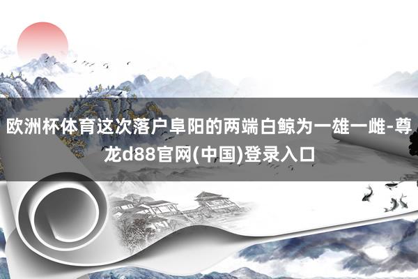 欧洲杯体育这次落户阜阳的两端白鲸为一雄一雌-尊龙d88官网(中国)登录入口