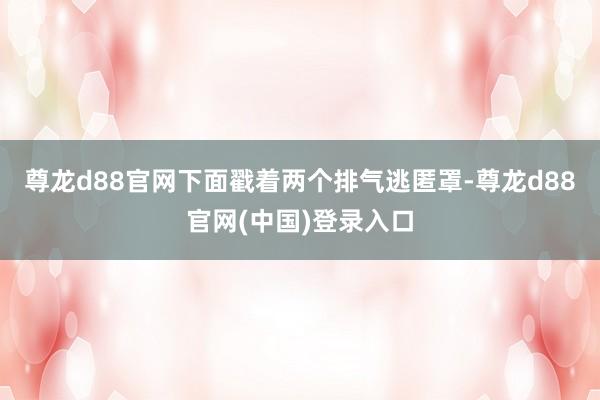 尊龙d88官网下面戳着两个排气逃匿罩-尊龙d88官网(中国)登录入口