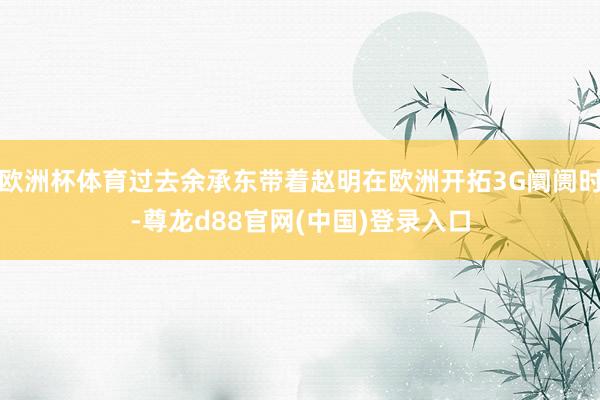 欧洲杯体育过去余承东带着赵明在欧洲开拓3G阛阓时-尊龙d88官网(中国)登录入口