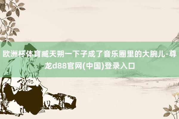 欧洲杯体育臧天朔一下子成了音乐圈里的大腕儿-尊龙d88官网(中国)登录入口