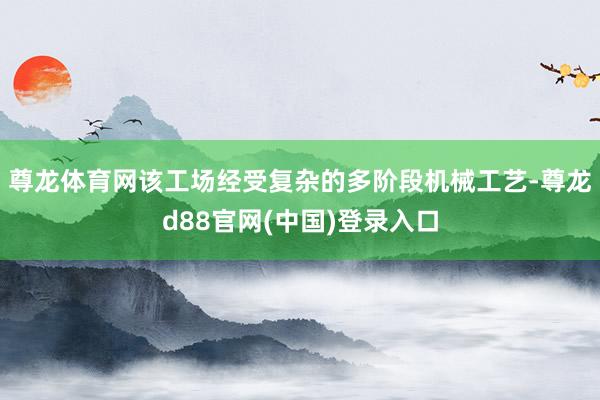 尊龙体育网该工场经受复杂的多阶段机械工艺-尊龙d88官网(中国)登录入口