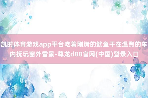 凯时体育游戏app平台吃着刚烤的鱿鱼干在温煦的车内抚玩窗外雪景-尊龙d88官网(中国)登录入口