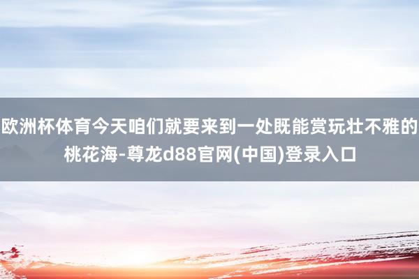 欧洲杯体育今天咱们就要来到一处既能赏玩壮不雅的桃花海-尊龙d88官网(中国)登录入口