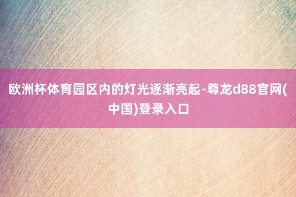欧洲杯体育园区内的灯光逐渐亮起-尊龙d88官网(中国)登录入口