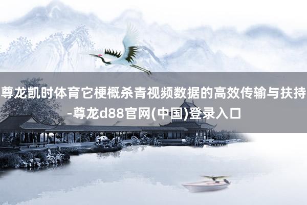 尊龙凯时体育它梗概杀青视频数据的高效传输与扶持-尊龙d88官网(中国)登录入口
