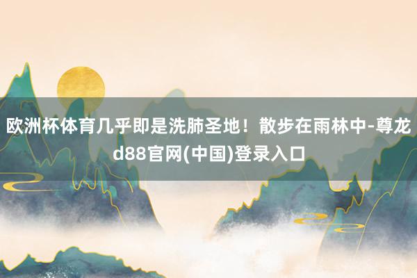 欧洲杯体育几乎即是洗肺圣地！散步在雨林中-尊龙d88官网(中国)登录入口