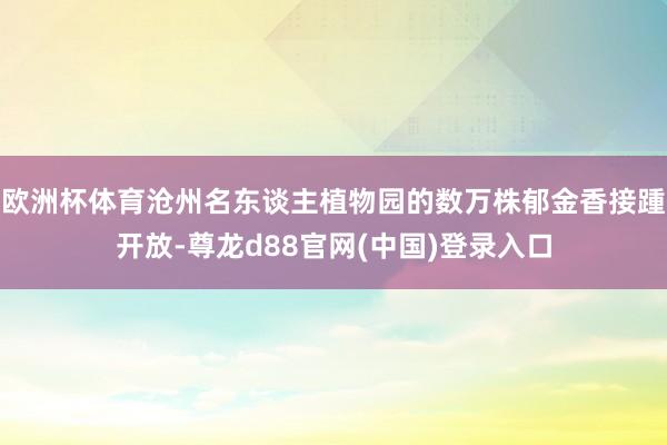 欧洲杯体育沧州名东谈主植物园的数万株郁金香接踵开放-尊龙d88官网(中国)登录入口