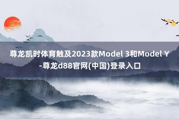 尊龙凯时体育触及2023款Model 3和Model Y-尊龙d88官网(中国)登录入口