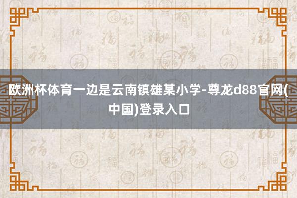 欧洲杯体育一边是云南镇雄某小学-尊龙d88官网(中国)登录入口
