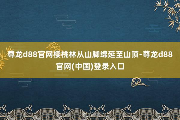 尊龙d88官网樱桃林从山脚绵延至山顶-尊龙d88官网(中国)登录入口
