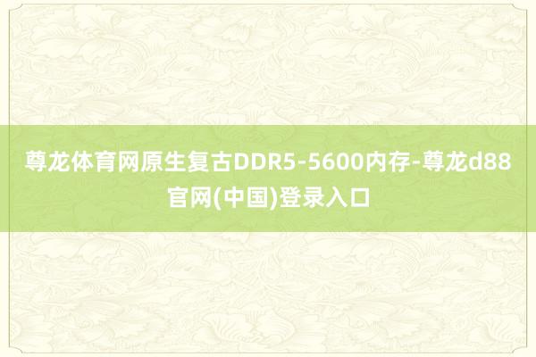 尊龙体育网原生复古DDR5-5600内存-尊龙d88官网(中国)登录入口