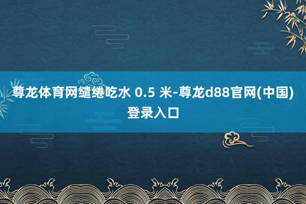 尊龙体育网缱绻吃水 0.5 米-尊龙d88官网(中国)登录入口
