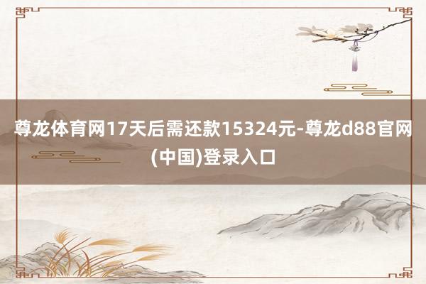 尊龙体育网17天后需还款15324元-尊龙d88官网(中国)登录入口
