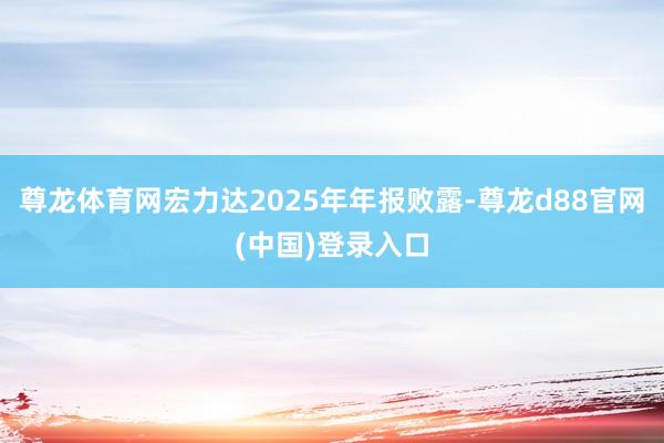 尊龙体育网宏力达2025年年报败露-尊龙d88官网(中国)登录入口