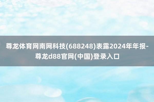 尊龙体育网南网科技(688248)表露2024年年报-尊龙d88官网(中国)登录入口