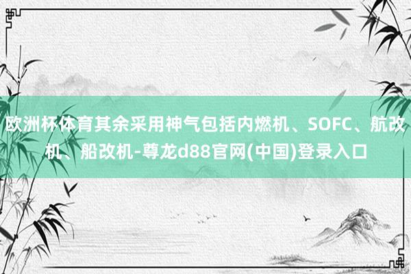 欧洲杯体育其余采用神气包括内燃机、SOFC、航改机、船改机-尊龙d88官网(中国)登录入口