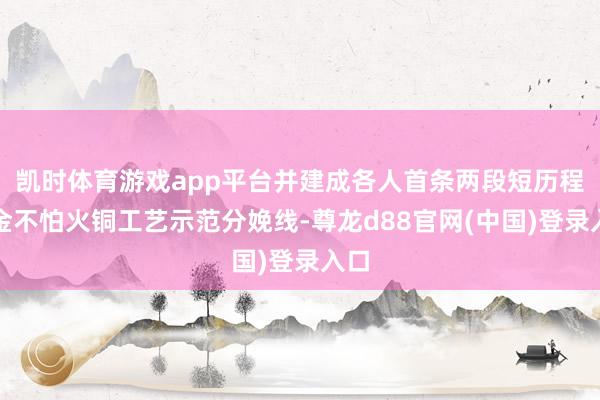 凯时体育游戏app平台并建成各人首条两段短历程真金不怕火铜工艺示范分娩线-尊龙d88官网(中国)登录入口